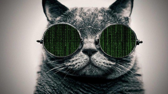 Go 语言 Web 应用开发框架，Iris、Gin、Echo，哪一个更适合大型项目？